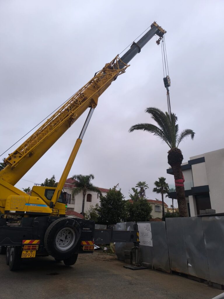 Location grue mobile Berrechid